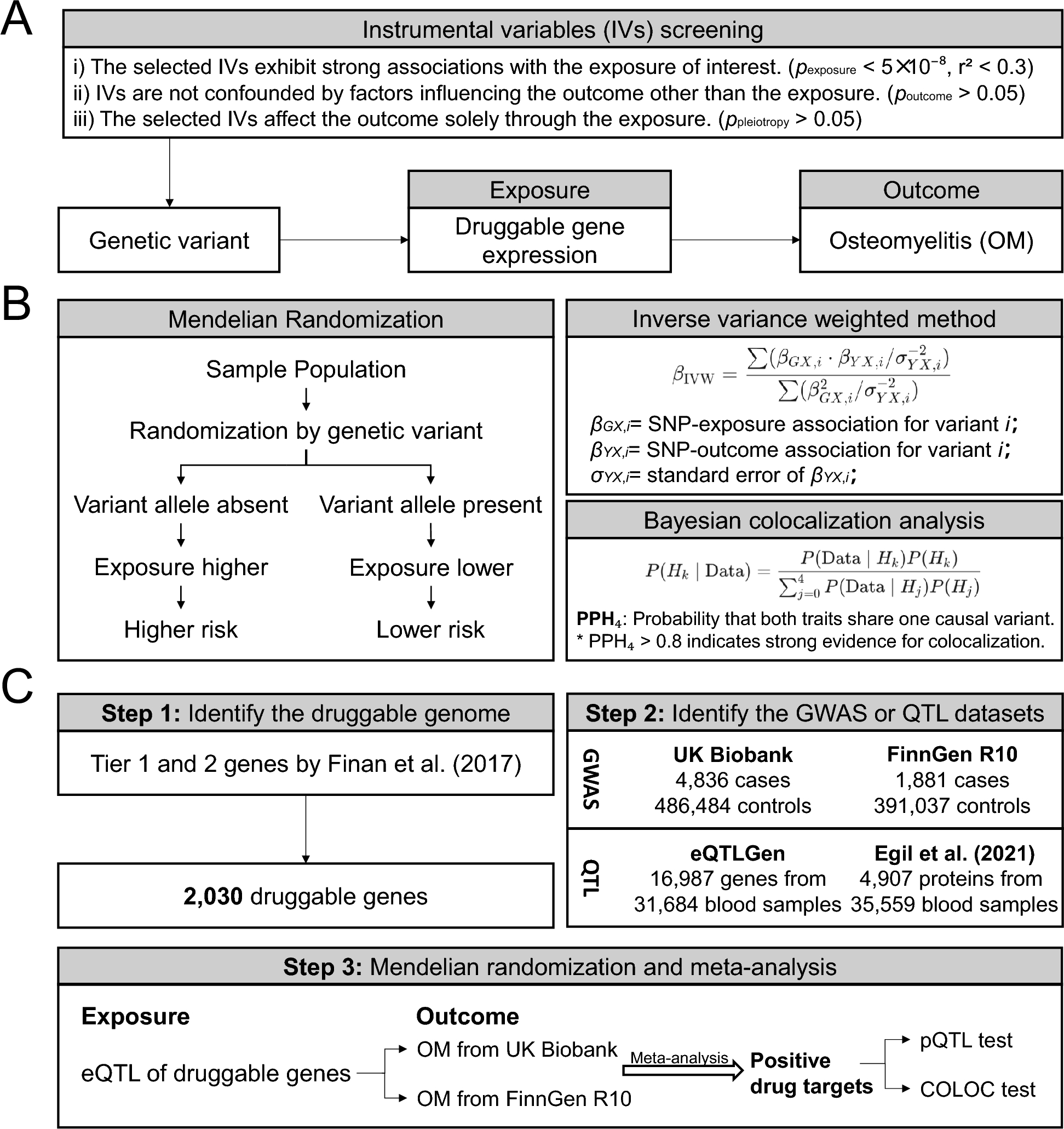 Identification of genetically-supported new drug targets for osteomyelitis based on druggable genomes