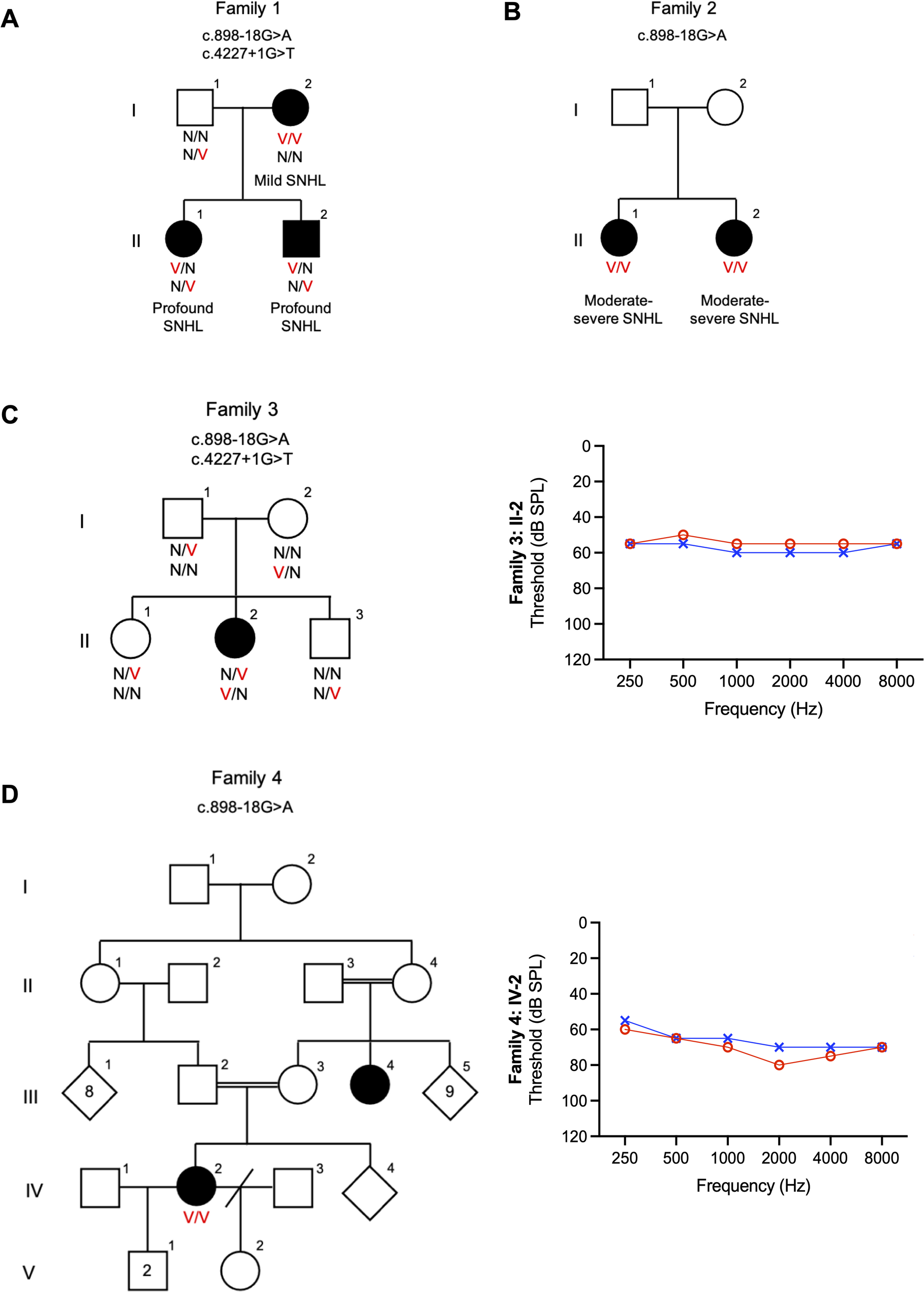 A multicenter study reveals a novel pathogenic splice-site founder variant in OTOF