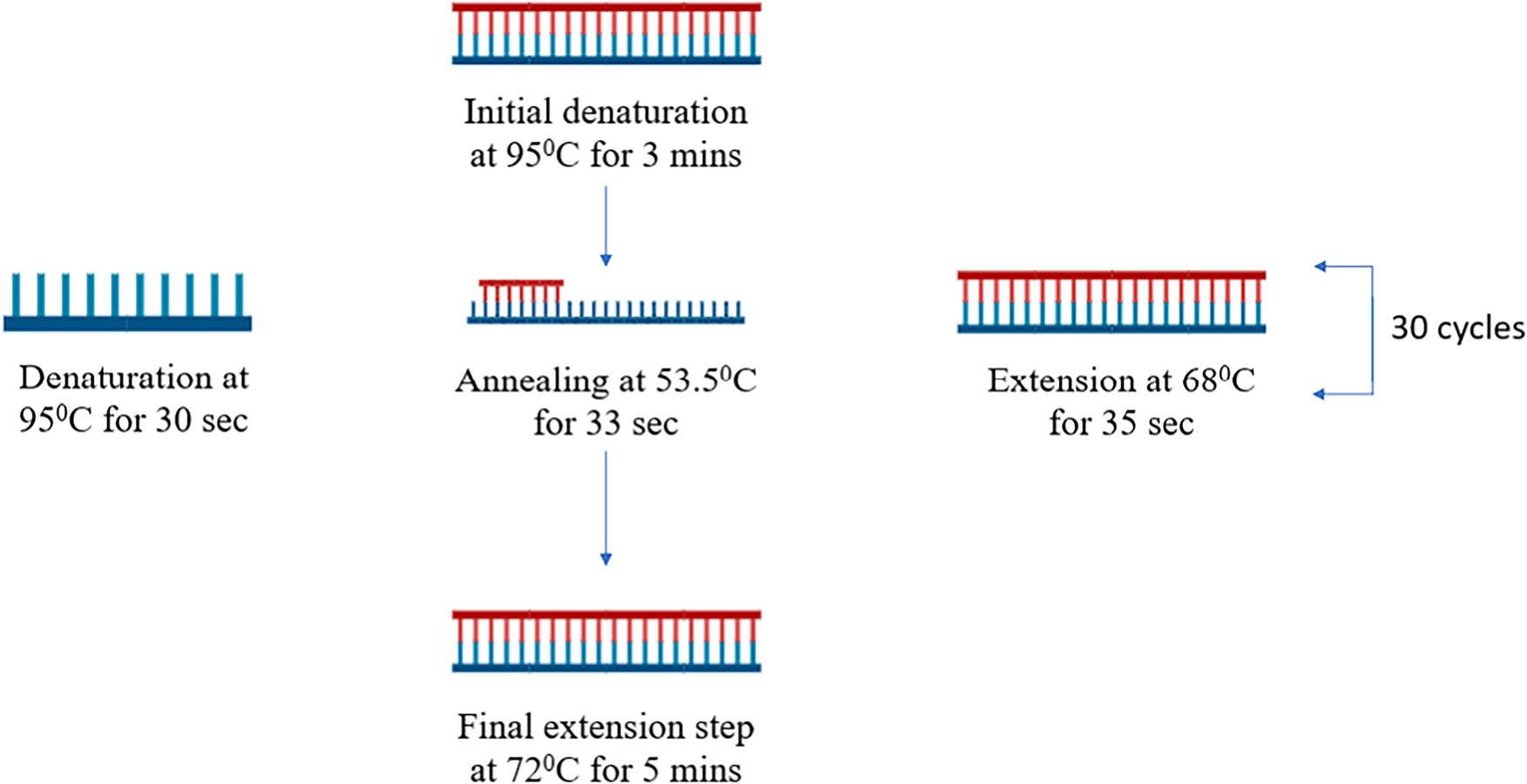Catalase-262C/T polymorphism and diabetic nephropathy in suburban Mumbai: A pilot study