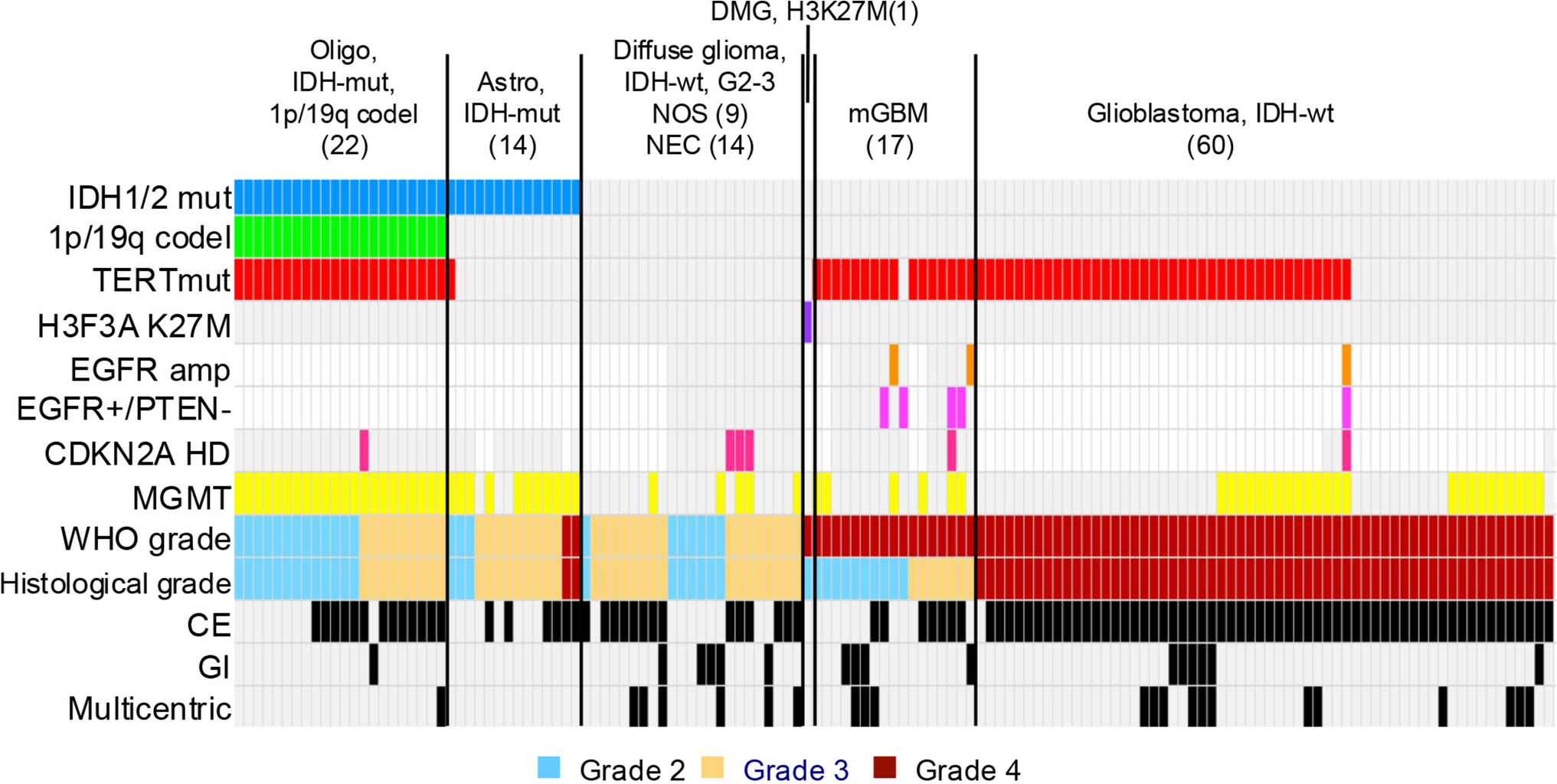 Gyriform infiltration indicates tumor invasion burden of isocitrate dehydrogenase 1/2-wildtype gliomas