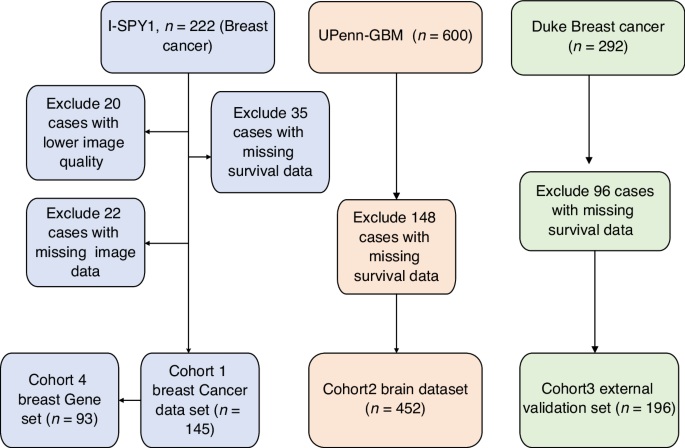 Multiscale Pancancer Analysis Uncovers Intrinsic Imaging and Molecular Characteristics Prominent in Breast Cancer and Glioblastoma