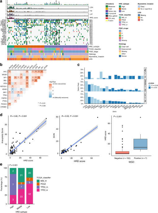 Integrating homologous recombination deficiency subtyping with TCGA molecular classification for enhanced prognostic stratification and personalised therapy in endometrial cancer