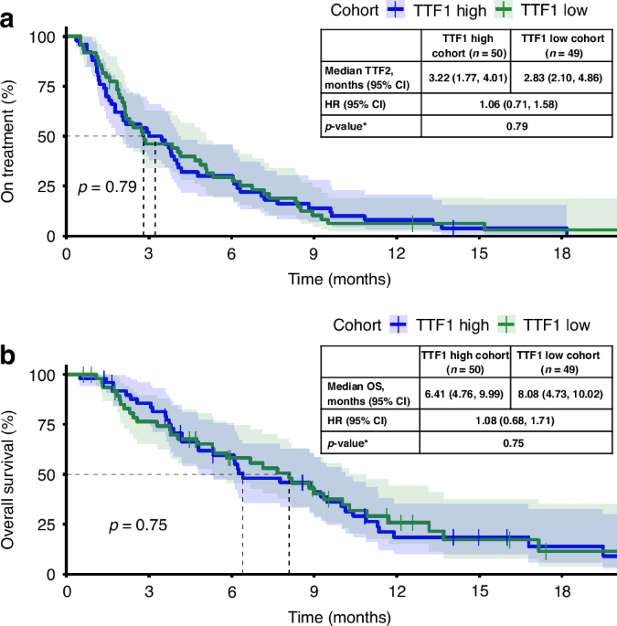 Predictive criteria for overall survival and treatment duration of 2nd-line chemotherapy in patients with advanced pancreatic adenocarcinoma (AIO-PAK-0216)
