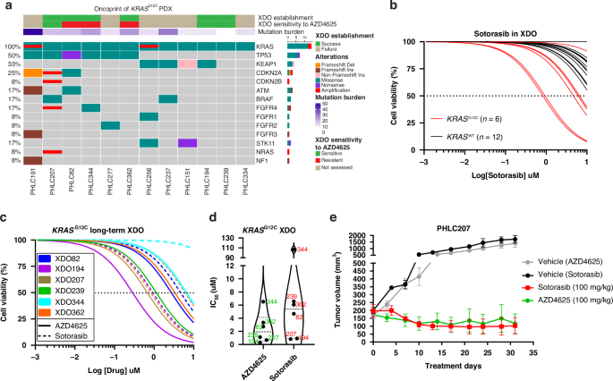 Modeling response to the KRAS-G12C inhibitor AZD4625 in KRASG12C NSCLC patient-derived xenografts reveals insights into primary resistance mechanisms