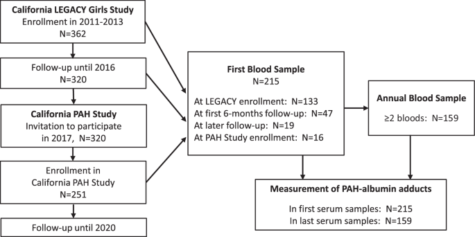 Timing of puberty in girls and serum polycyclic aromatic hydrocarbon (PAH)-albumin adduct levels: the California PAH Study