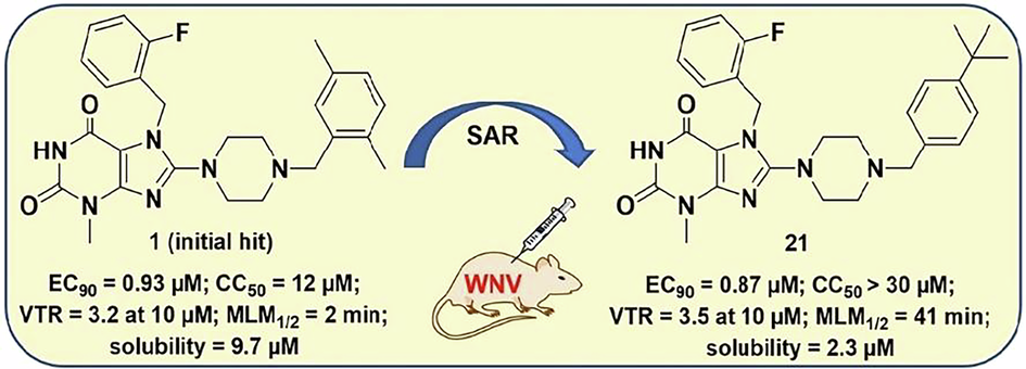 Targeting west nile virus replication by xanthine inhibitors