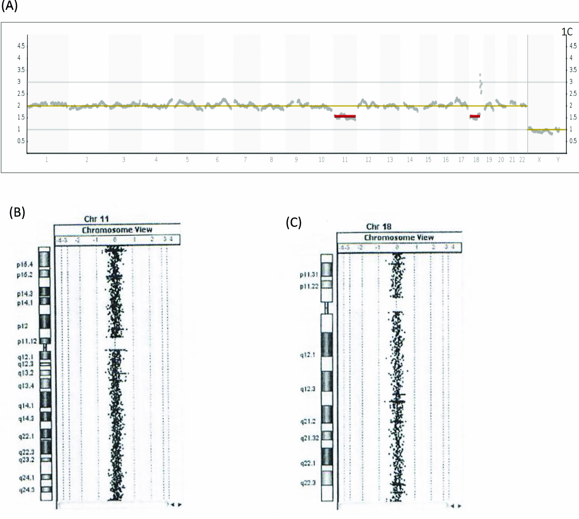 The developmental potential of mosaic embryos involving two chromosomes may not be inferior to that of sibling euploid blastocysts from the same cohort: clinical reflections and implications from anuncommon case