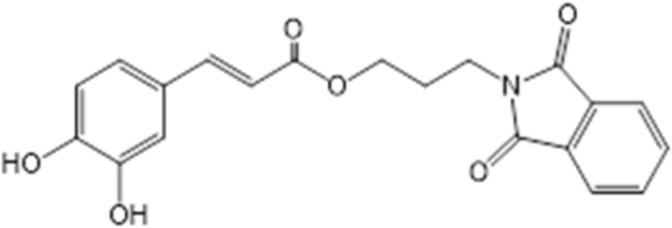 Pre-treatment with caffeic acid-phthalimide prevents UVB-induced oxidative stress and cytotoxicity