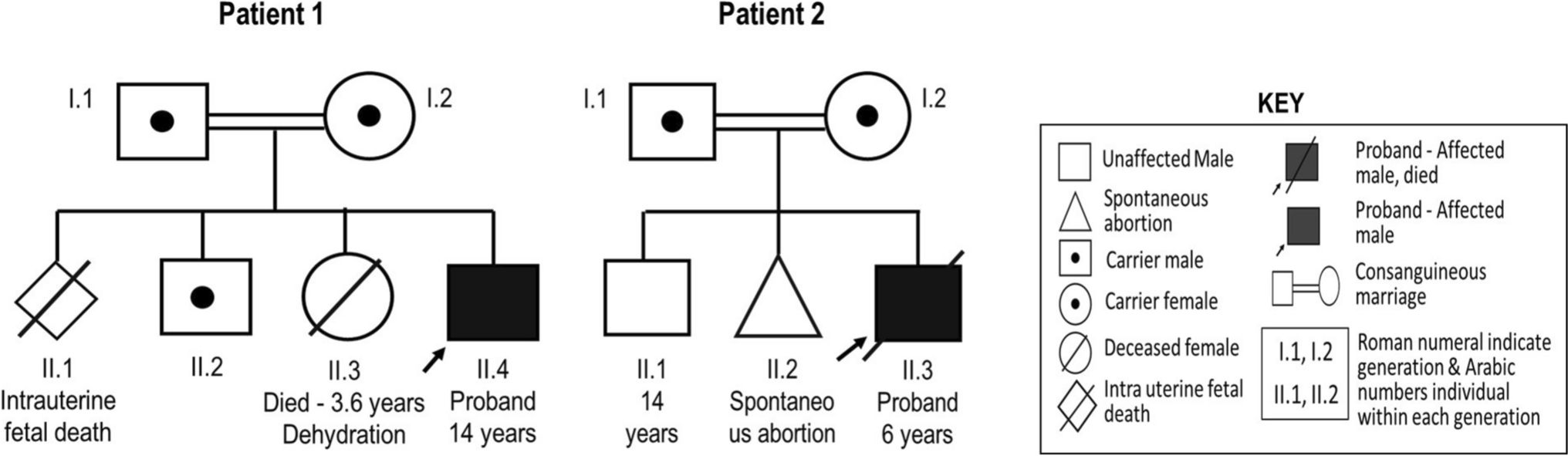 NGLY1-CDDG: report of two cases from India and brief review of literature