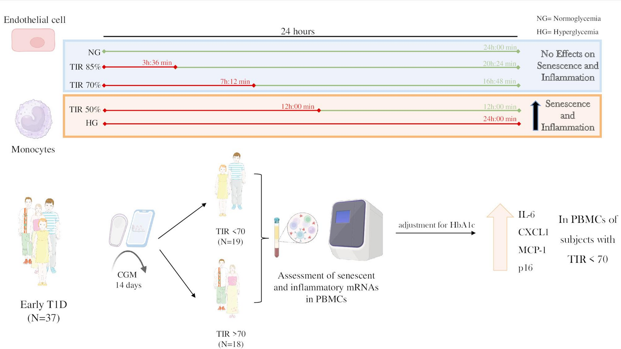 A glucose time in range of 70% attenuates the senescence-inducing and pro-inflammatory effects of hyperglycemia