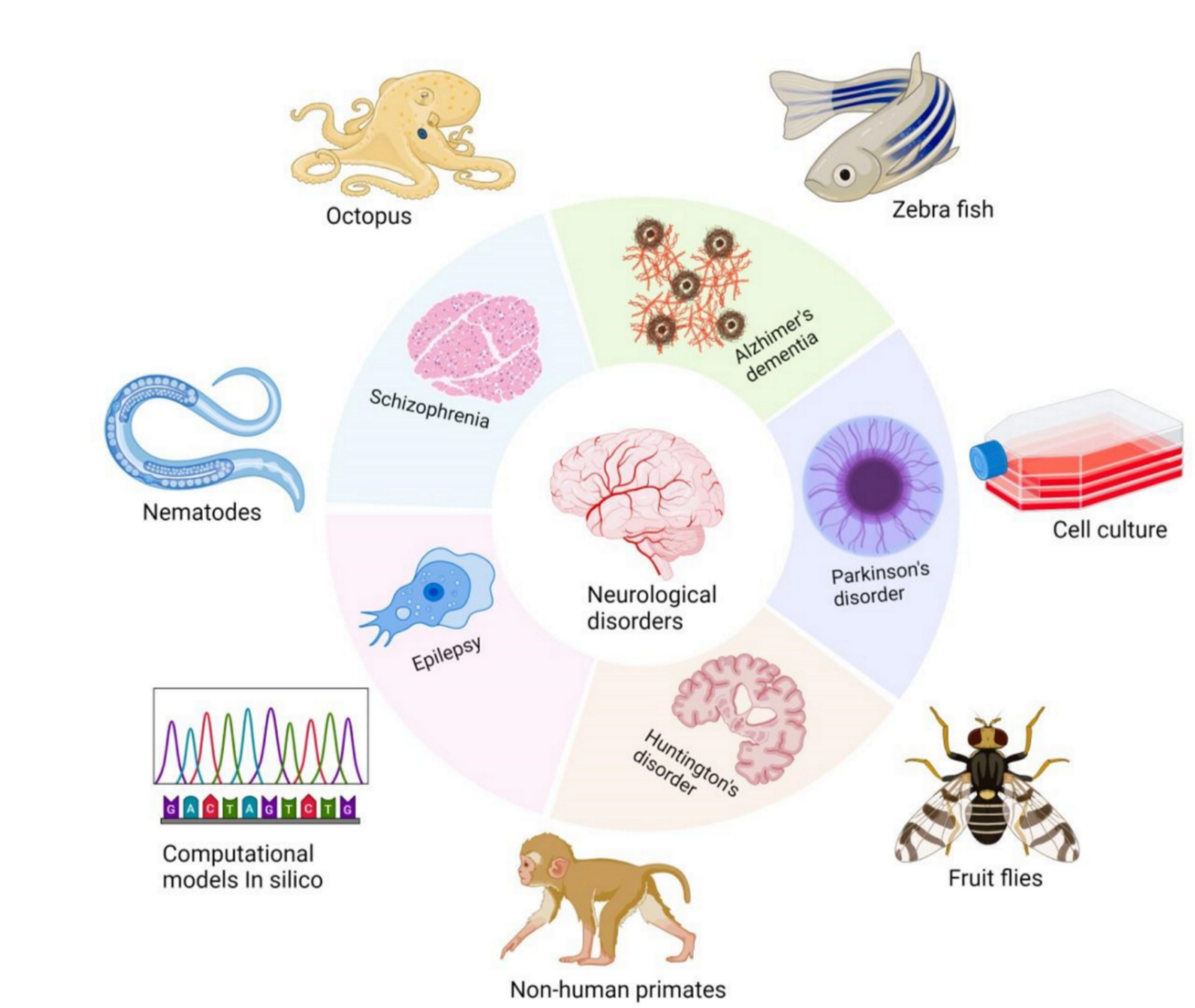 Unconventional Non-rodent Models in Neurological Research: Exploring New Paths to Translational Insights