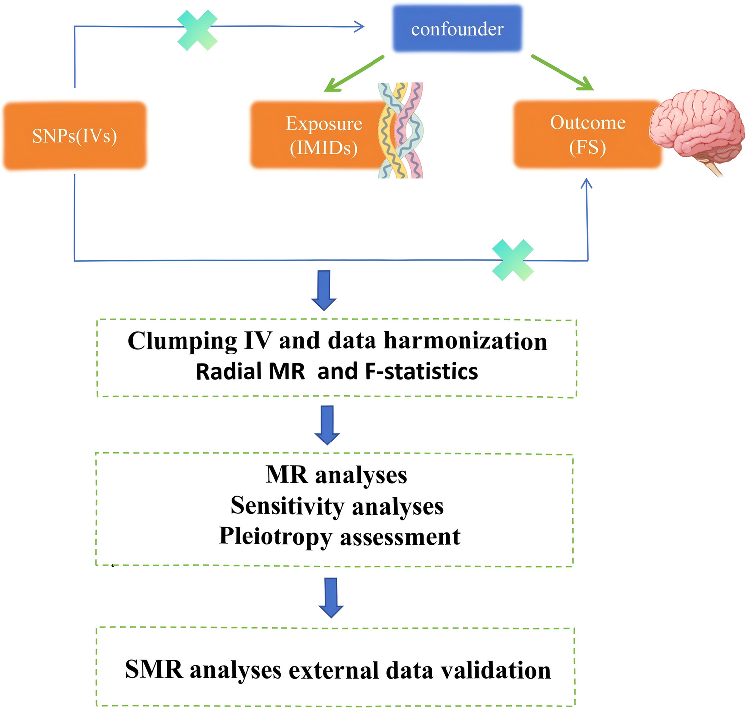 The Causal Relationship Between Palmitoylation Genes and Parkinson’s Disease: A Mendelian Randomization Study
