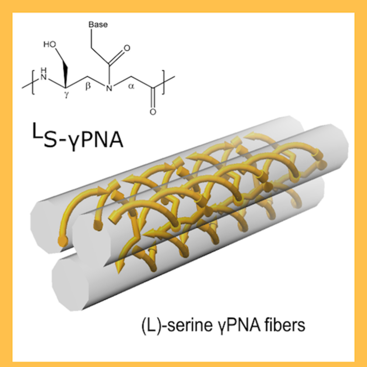 Rapid self‐assembly of γPNA nanofibers at constant temperature