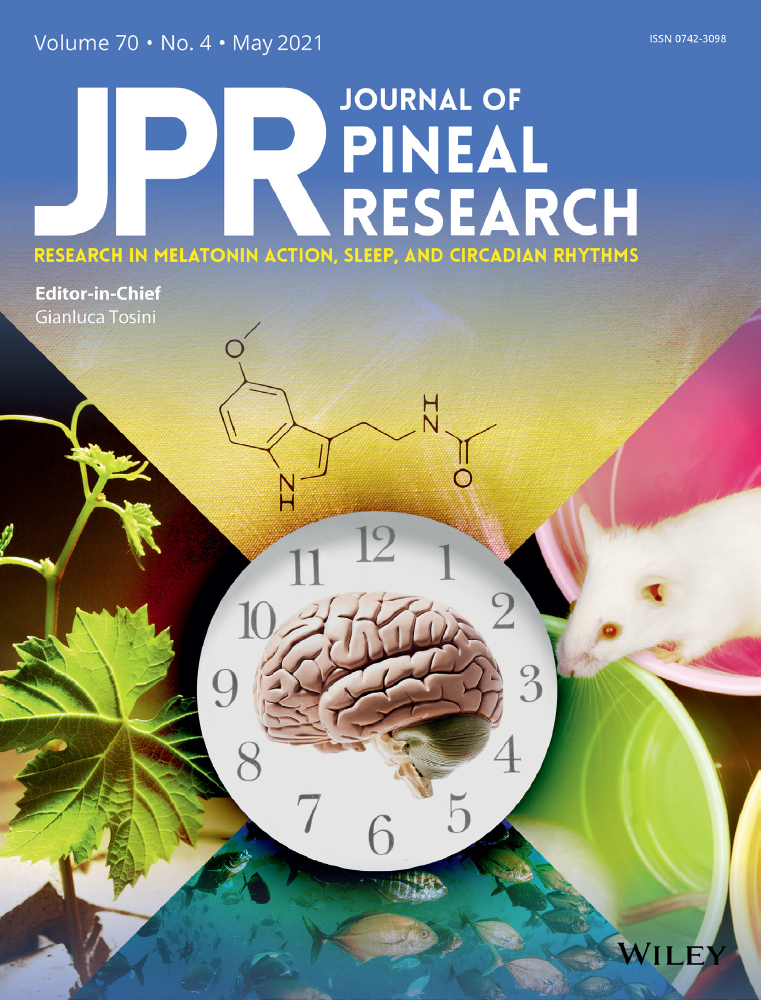 Melatonin inhibits lung cancer development by reversing the Warburg effect via stimulating the SIRT3/PDH axis