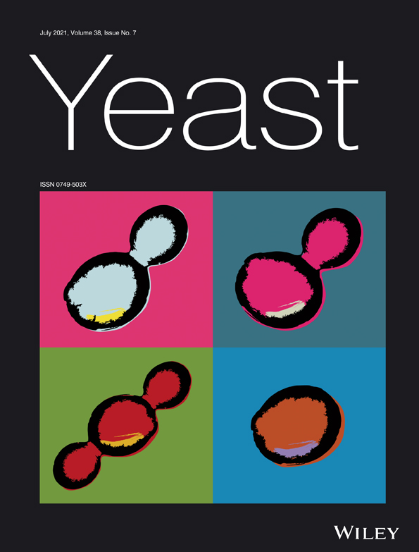 The role of the exocytic pathway in cell wall assembly in yeast