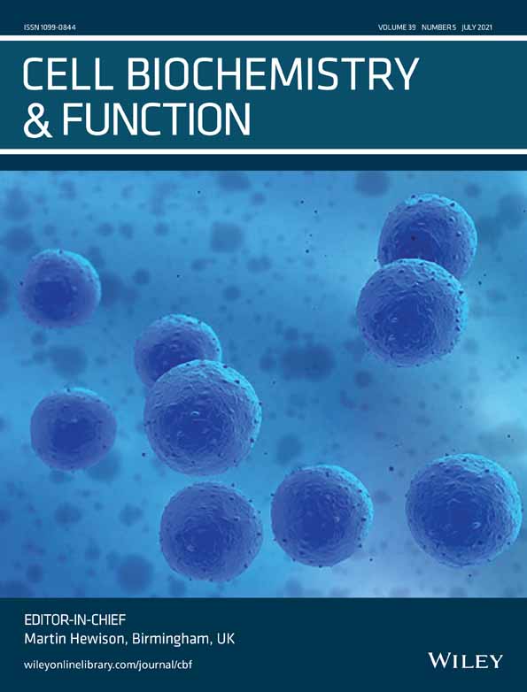 Metformin suppresses self‐renewal and stemness of cancer stem cell models derived from pluripotent stem cells