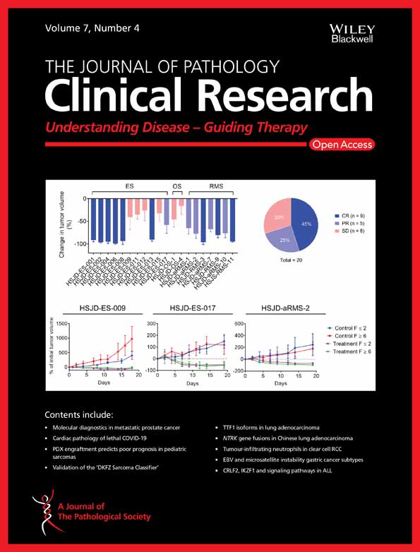 Quick Annotator: an open‐source digital pathology based rapid image annotation tool