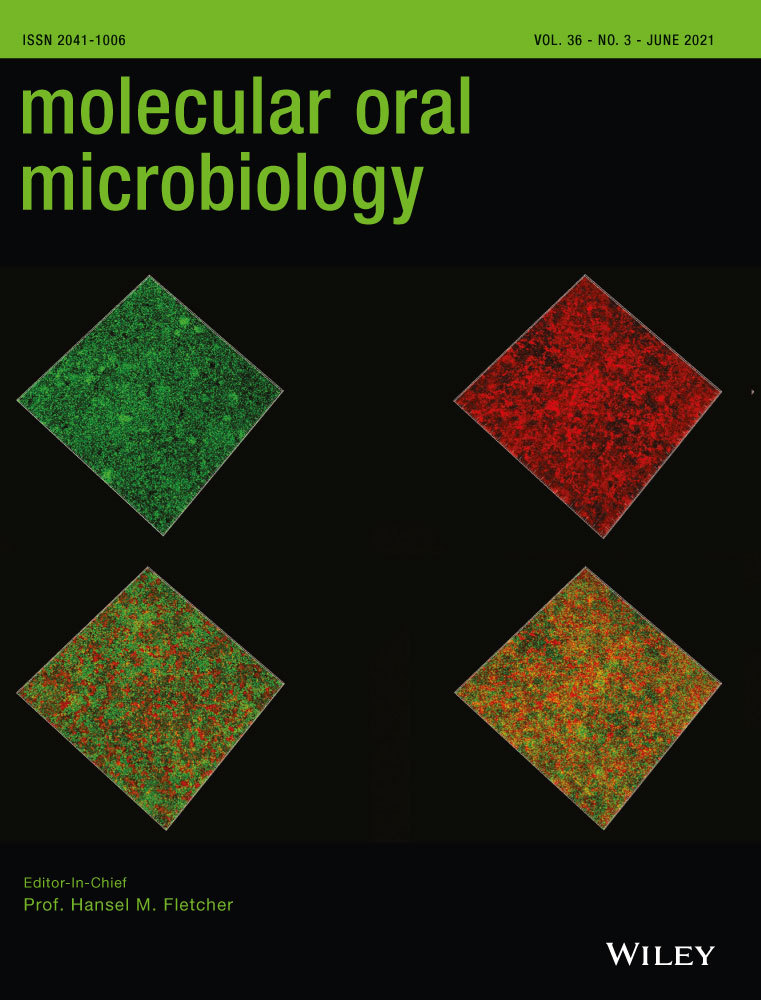 Identification and characterization of a UbK family kinase in Porphyromonas gingivalis that phosphorylates the RprY response regulator