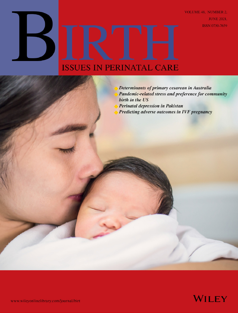 Pregnancy and birth in the United States during the COVID‐19 pandemic: The views of doulas