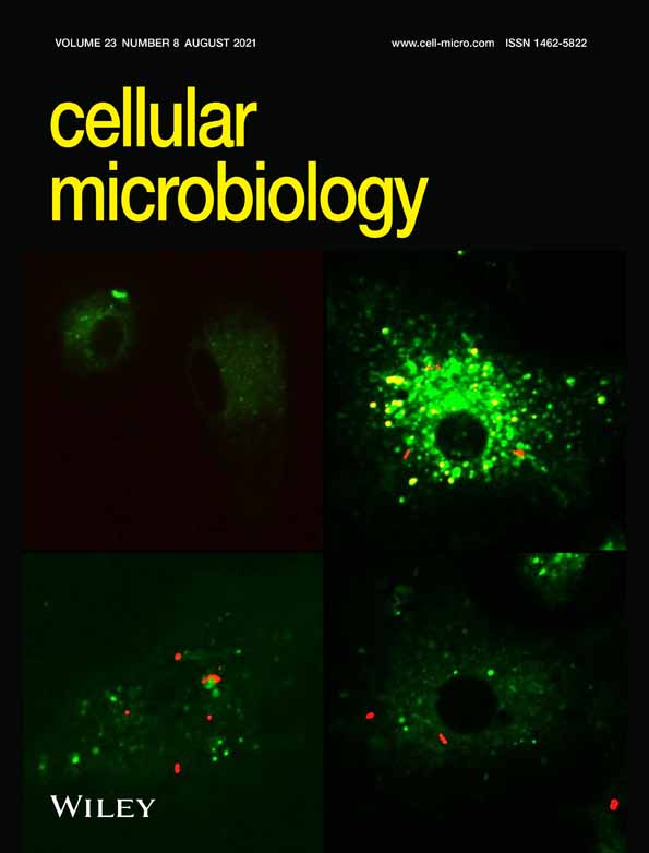 Endocytosis of the CdtA subunit from the Haemophilus ducreyi cytolethal distending toxin