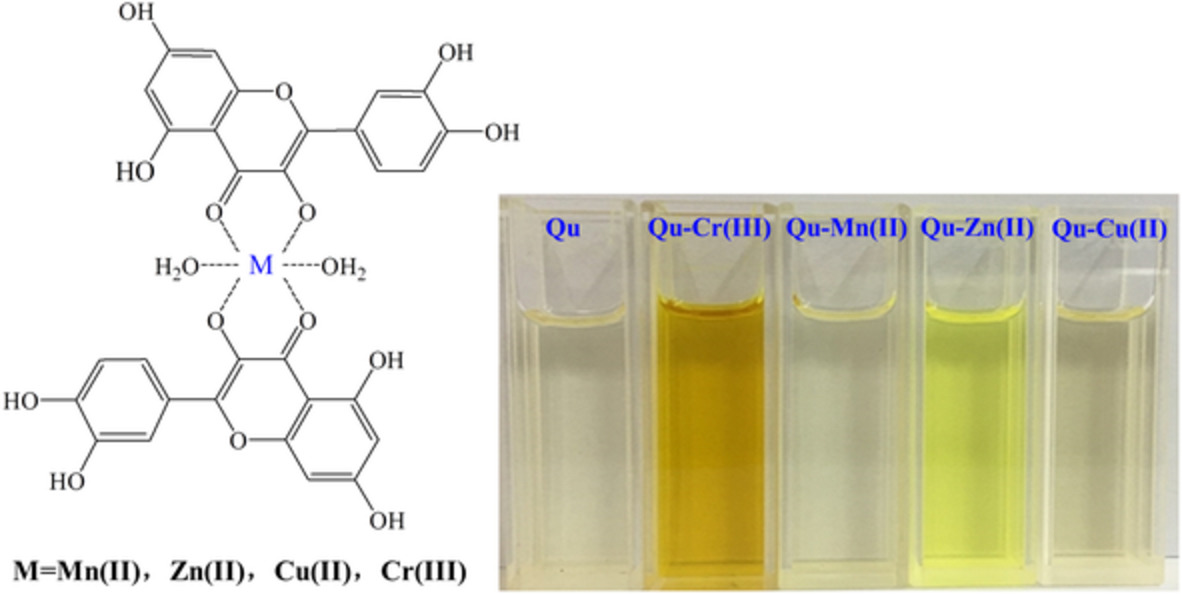 Comparison on binding interactions of quercetin and its metal complexes with calf thymus DNA by spectroscopic techniques and viscosity measurement