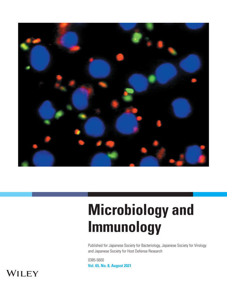 Protective effect of surfactin on copper sulfate‐induced inflammation, oxidative stress, and hepatic injury in zebrafish