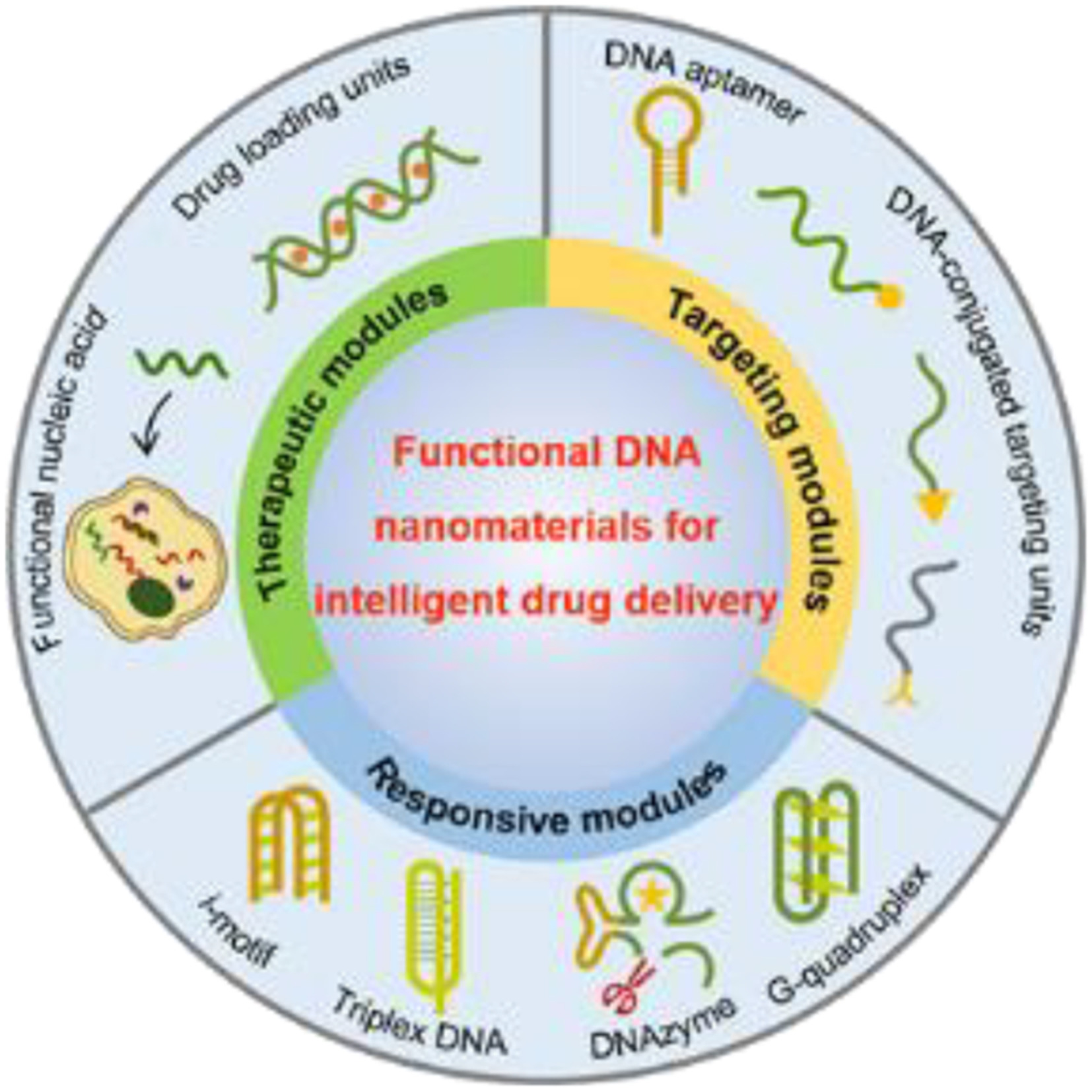 Multimodules integrated functional DNA nanomaterials for intelligent drug delivery