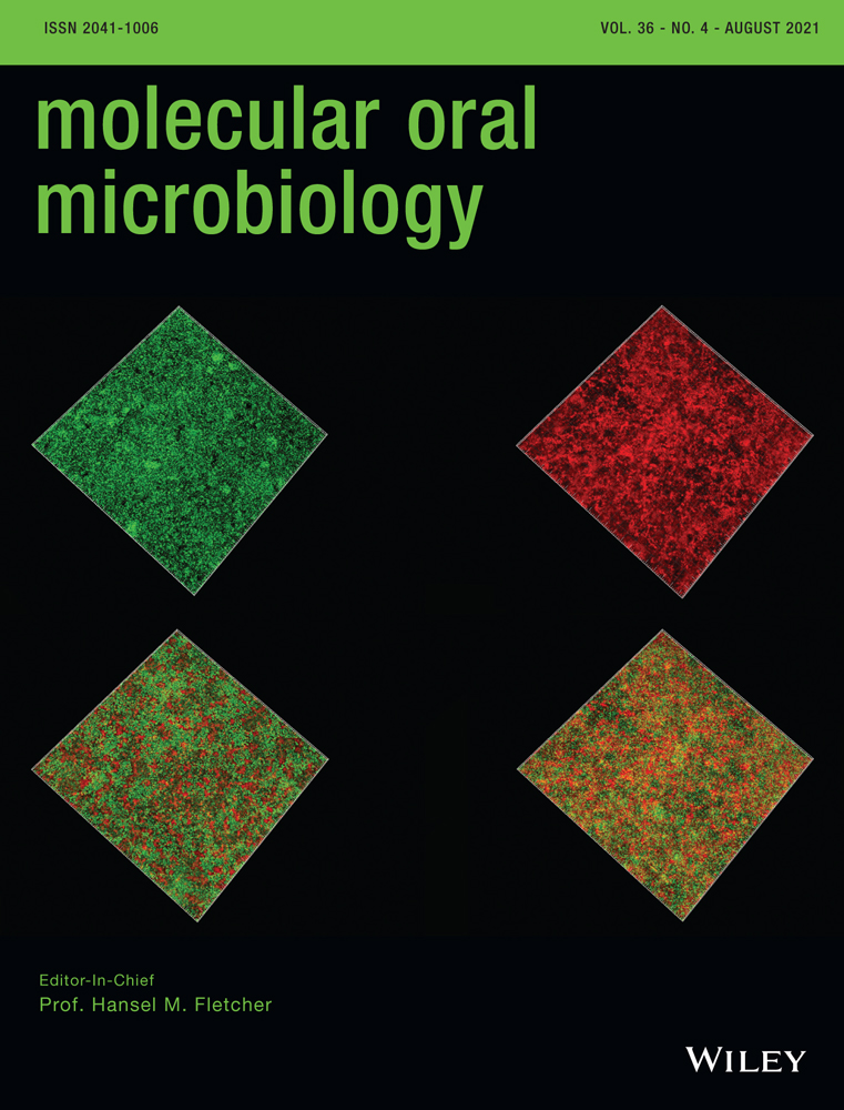 An In‐Vitro model for studies of attenuation of antibiotic‐inhibited growth of Aggregatibacter actinomycetemcomitans Y4 by polyamines