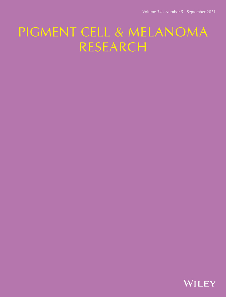 Investigating DNA methylation as a potential mediator between pigmentation genes, pigmentary traits and skin cancer