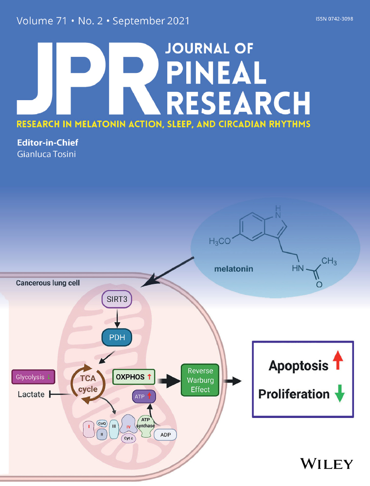 Fetal malnutrition is associated with impairment of endogenous melatonin synthesis in pineal via hyper‐methylation of promoters of protein kinase C alpha and cAMP‐response element‐binding
