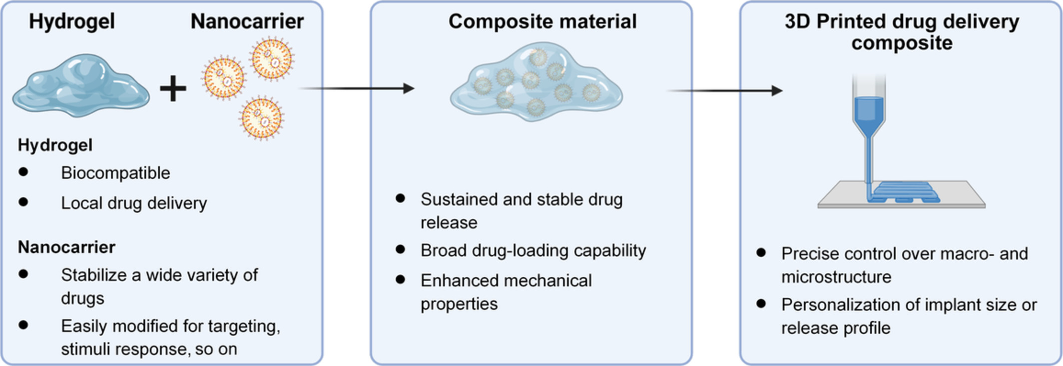 Nanocarrier‐hydrogel composite delivery systems for precision drug release