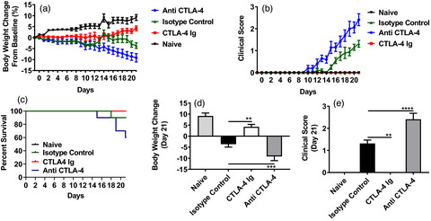 Cytotoxic T lymphocyte antigen‐4 regulates development of xenogenic graft versus host disease in mice via modulation of host immune responses induced by changes in human T cell engraftment and gene expression