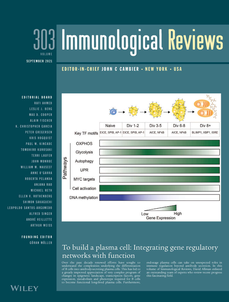 Cell‐intrinsic and ‐extrinsic roles of miRNAs in regulating T cell immunity