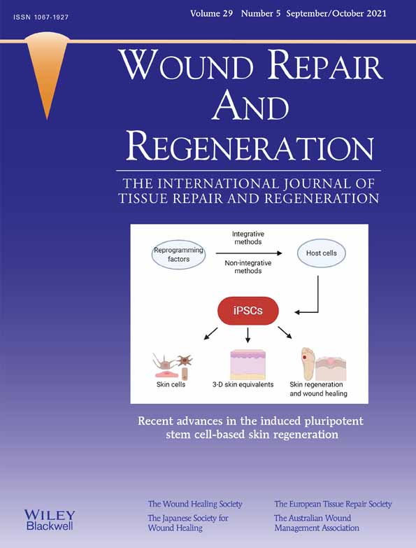 Effectiveness of a synthetic human recombinant epidermal growth factor in diabetic patients wound healing: Pilot, double‐blind, randomized clinical controlled trial