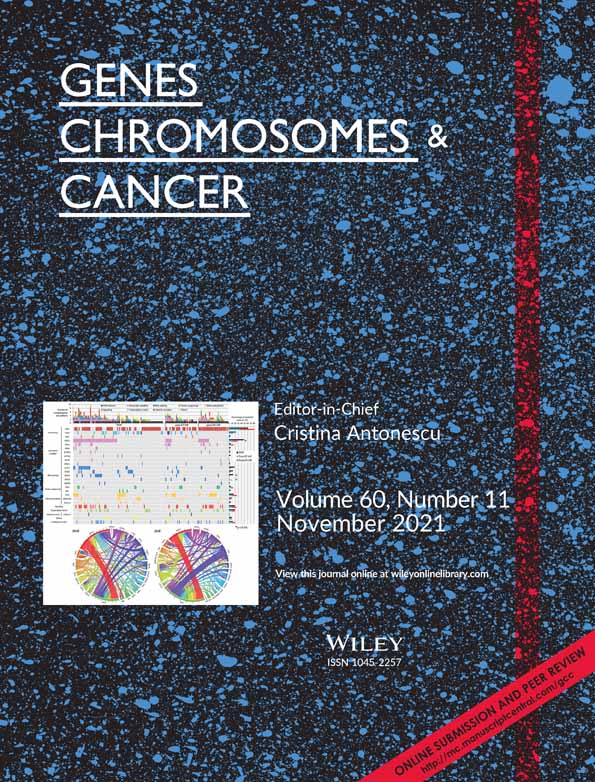 Undifferentiated sarcoma of bone with a round to epithelioid cell phenotype harboring a novel EWSR1‐SSX2 fusion identified by RNA‐based next‐generation sequencing