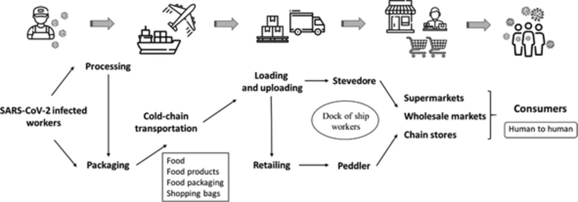 A review of epidemic investigation on cold‐chain food‐mediated SARS‐CoV‐2 transmission and food safety consideration during COVID‐19 pandemic