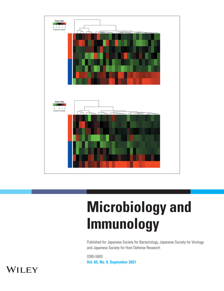 Stability of Borna disease virus ‐based episomal vector under physical and chemical stimulation