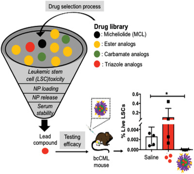 Nanoparticle‐Mediated Delivery of Micheliolide Analogs to Eliminate Leukemic Stem Cells in the Bone Marrow