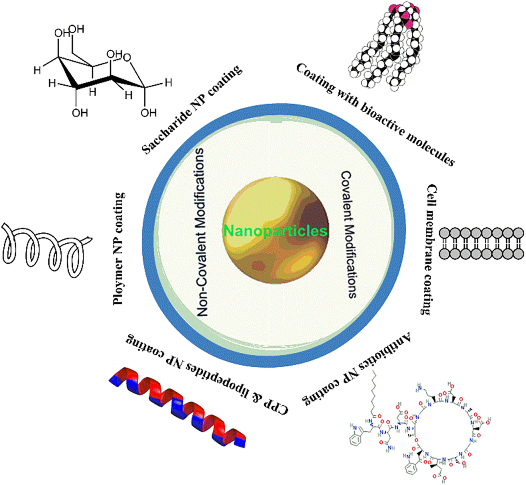 Surface modification of nano‐drug delivery systems for enhancing antibiotic delivery and activity