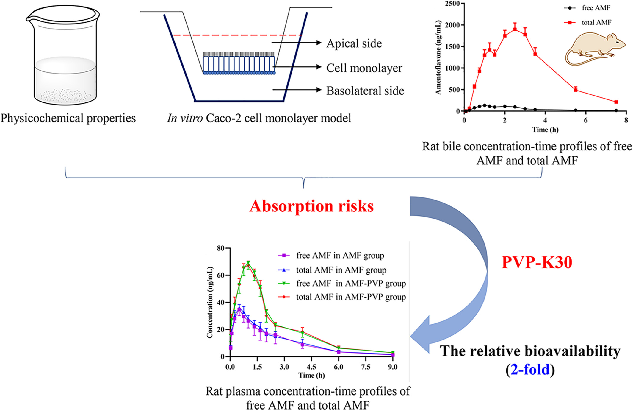Evaluation on Absorption Risks of Amentoflavone after Oral Administration in Rats