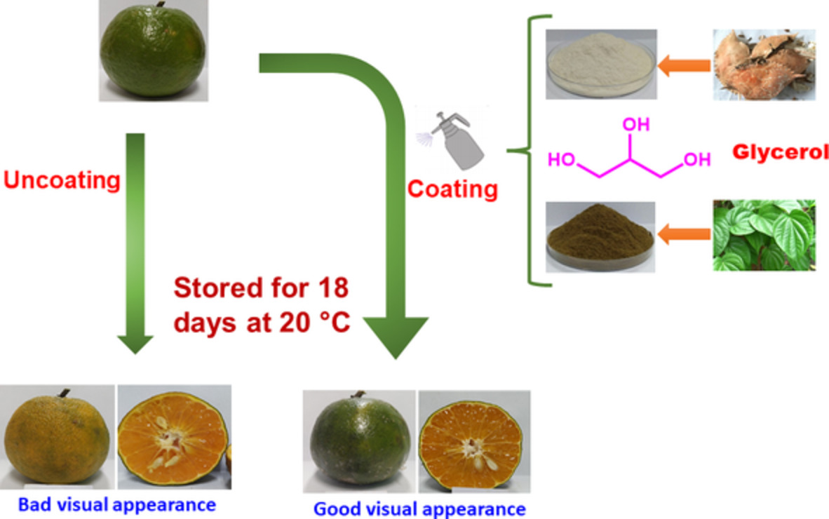 Glycerol‐plasticized chitosan film for the preservation of orange