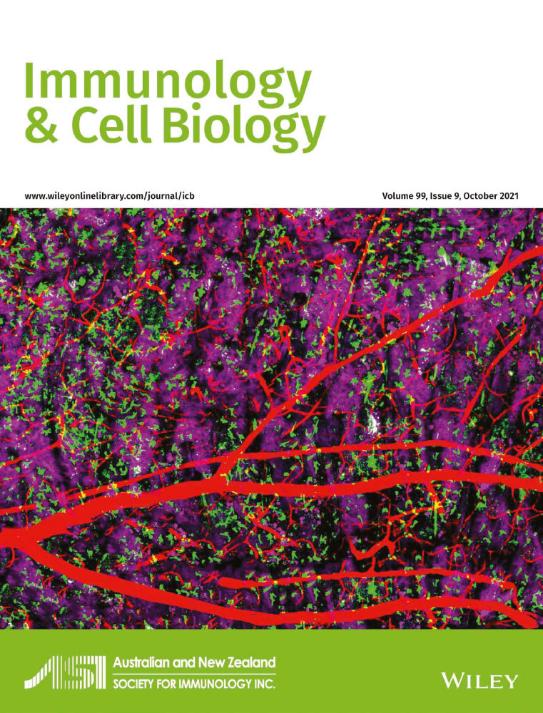 Tolerance induction by liposomes targeting a single CD8 epitope IGRP206‐214 in a model of type 1 diabetes is impeded by co‐targeting a CD4 islet epitope