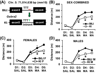 A quantitative trait variant in Gabra2 underlies increased methamphetamine stimulant sensitivity
