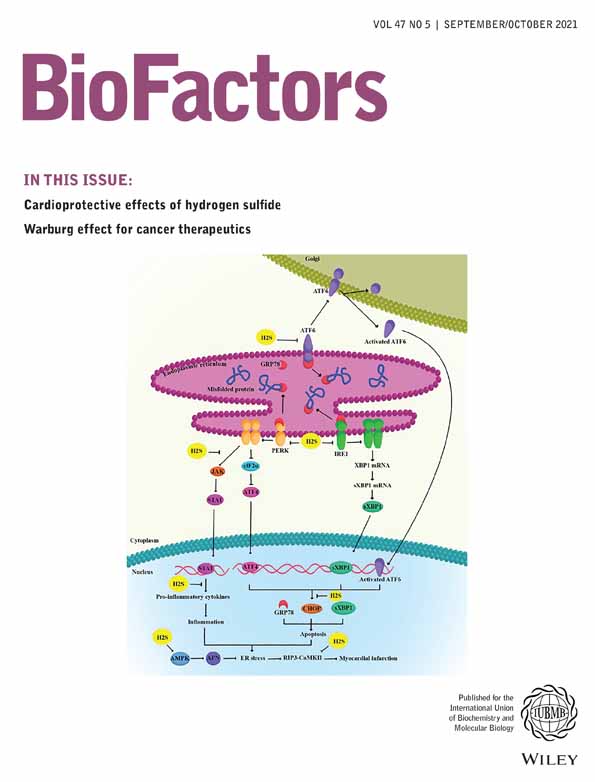 Perspectives in liver redox imbalance: Toxicological and pharmacological aspects underlying iron overloading, nonalcoholic fatty liver disease, and thyroid hormone action