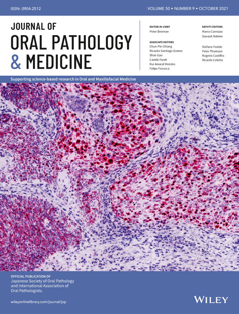 Overexpression of Methyltransferase‐Like 3 and 14 in Oral Squamous Cell Carcinoma
