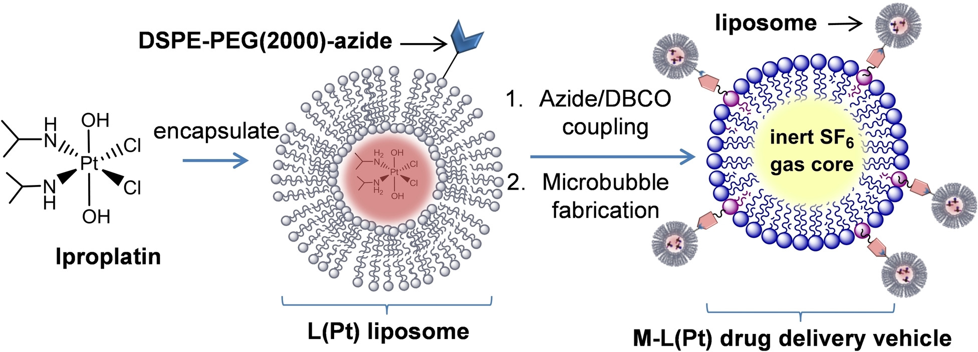 Ultrasound‐Triggered Delivery of Iproplatin from Microbubble‐Conjugated Liposomes