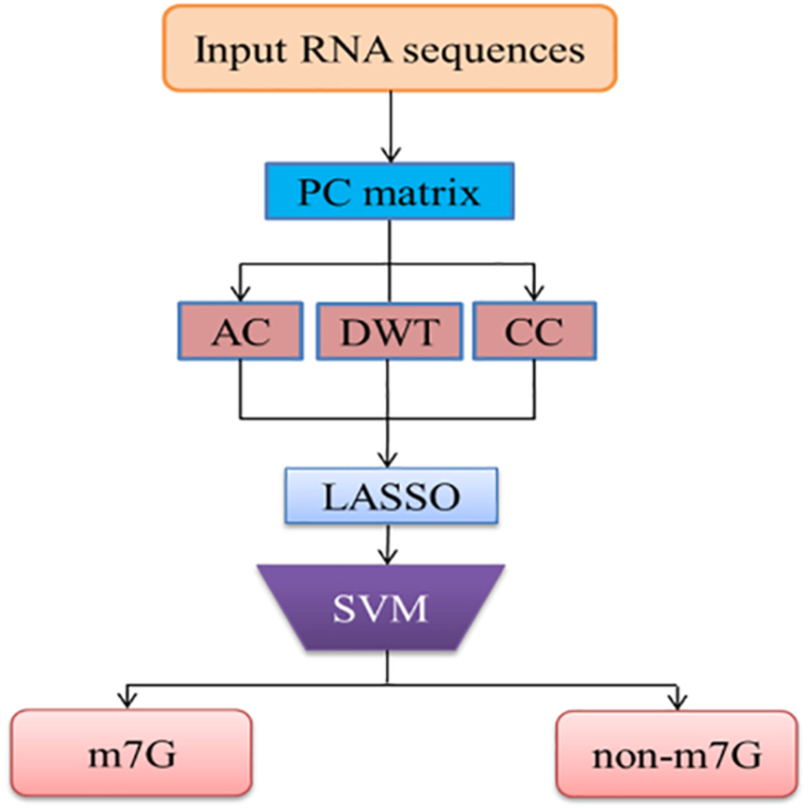 Identifying N7‐methylguanosine sites by integrating multiple features