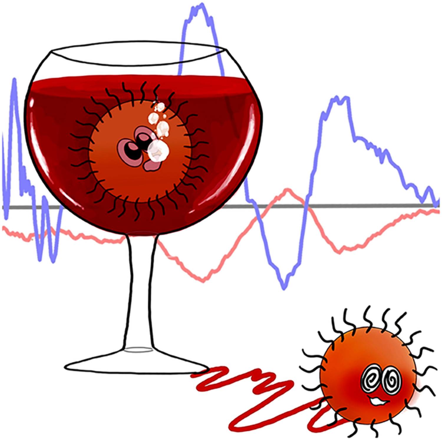 Apple juice and red wine induced mirror‐image circular dichroism in quantum dots