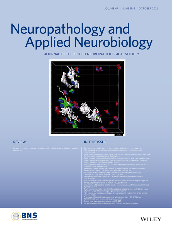 TUMOUR‐ASSOCIATED CD204+ MICROGLIA/MACROPHAGES ACCUMULATE IN PERIVASCULAR AND PERINECROTIC NICHES AND CORRELATE WITH AN INTERLEUKIN‐6 ENRICHED INFLAMMATORY PROFILE IN GLIOBLASTOMA