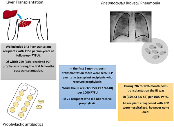 Pneumocystis jirovecii pneumonia in liver transplant recipients in an era of routine prophylaxis